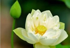 确保信的同时提高了效率